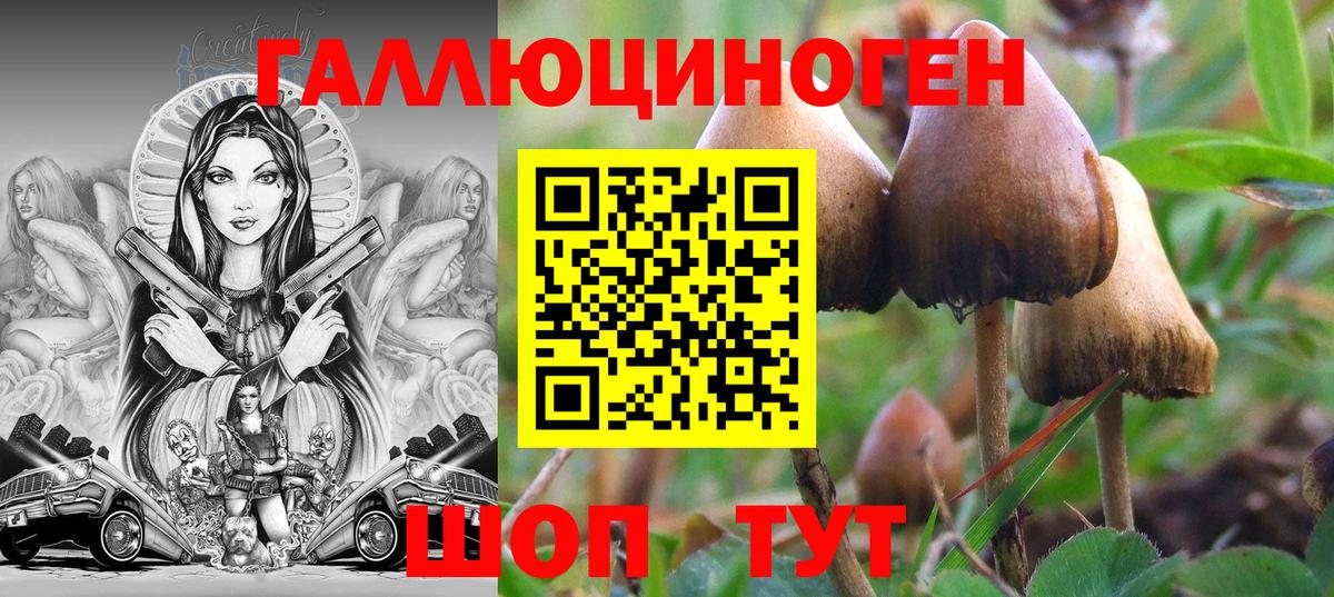 Псилоцибиновые грибы прущие грибы  Вход с VPN  Асино 