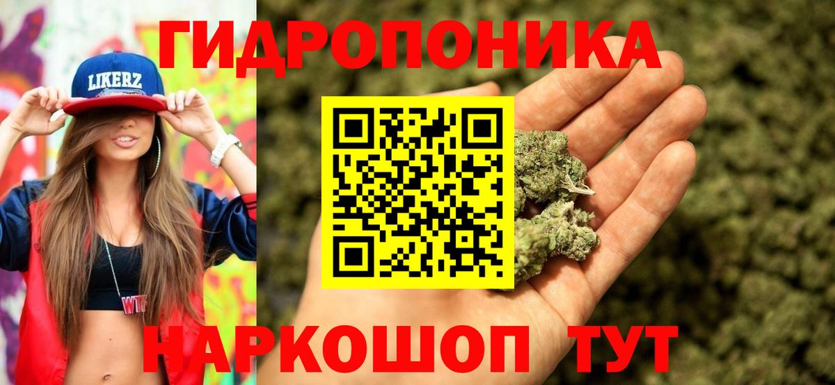 Шишки марихуана семена  Шишки марихуана сатива  Вход с VPN  Бошки марихуана план  Асино  Бошки Шишки семена 